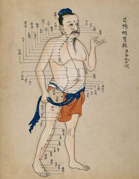 acupuncture chart